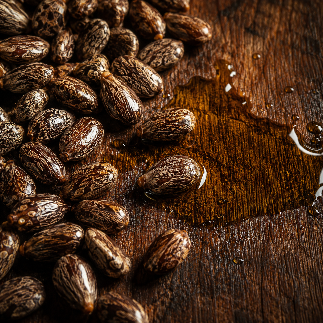 What Cold-Pressed Actually Means